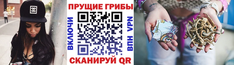 mega сайт магазин Абаза darknet как зайти Галлюциногенные грибы Cubensis